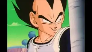 Vegeta Team Three Star