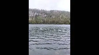 Feldsee bei Regen Rundwanderweg 🇩🇪💦