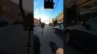 Police Chasing Cat on pogo stick  #foryou #copcam #police #caughtoncamara #cat