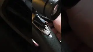 Mack Bros Evo II with Shilen BR trigger
