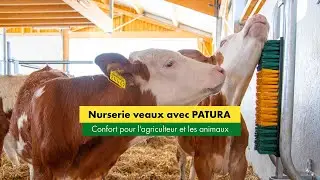 Nurserie &agrave; veaux avec PATURA - Confort pour l'agriculteur et les animaux