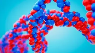 IMB Seminar Series: The reformation of molecular biology and evolution