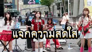 บันทึกการแสดงสด Zizters Band l Siam Valentine l 15-02-25 l Siam Square l 4K