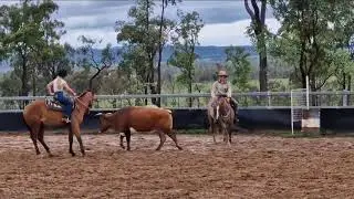 Lot 361 - Manicon Nutrien Classic Sale 2026