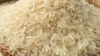 Rice Eating 🍚 paper/Rice 🌾 Paper/Eating 🍚🍚 Rice 🌾/Rice 🌾 Rice/Rice 🌾 Eating 🍚 Lovers 💕