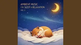 Sub-Bass Deep Sleep Drone