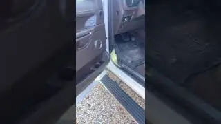 Kent Johnson Professional Vehicle Cleaning Before Premium Detail&hellip;.