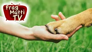 Hundekrallen schneiden | Frag Mutti TV