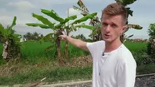 Ubud Garden Villas Complex - Bali Investments