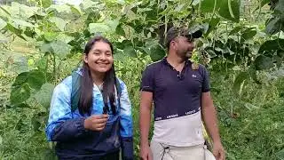 CULTIVO DE HABICHUELA VEREDA SAN PABLO PASCA CUNDINAMARCA.