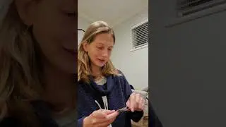 Katya demonstrates fancy Cosmic 927RX wire stripper