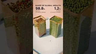 World wealth distribution💰🏦 ...#world #population #animation #watermelon