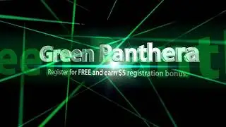 GREEN PANTHERA - SURVEY FOR CASH.