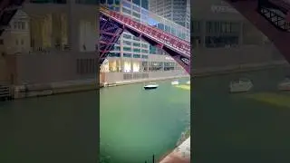 Day4 Chicago trip #chicagovlog #viralvideo #trendingshorts #viralshort #ustraveldirectory #travel