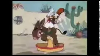 Chip And Dale & Donald Duck  Cartoons long time Compilation