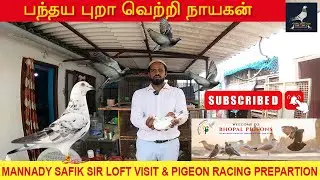 பந்தய புறா நாயகன் | Thiru. Mannady Safik Sir Loft Visit & Pigeon Racing Preparation