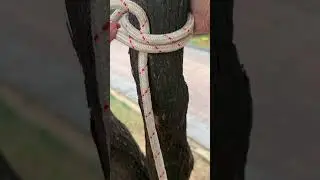 Commonly used knots for fixing ropes in daily life