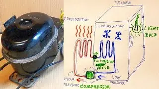 How Does a Fridge and its Compressor Work