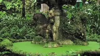 Nature’s Harmony: Fountain and Birds in Monte Palace💧🐦