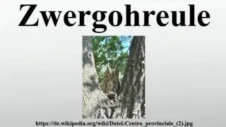 Zwergohreule