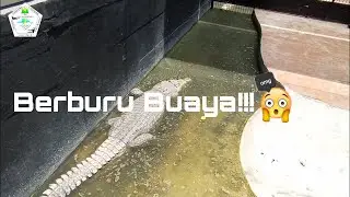 Keseruan Di Predator Fun Park || Ketemu Buaya Di Sini