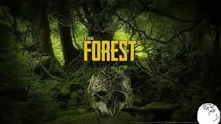 FOREST: ОТЛИЧНЫЕ ВЫЖЫВАЛЬЩИКИ И НЕУЛОВИМЫЙ ТИММИ#5