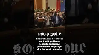 Endri Shabani betohet si Avokat Populli mes kaosit t&euml; opozit&euml;s, i p&euml;rsh&euml;ndet me puthje...