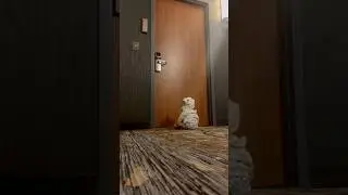 She left her baby at her dad&rsquo;s doorstep 😂