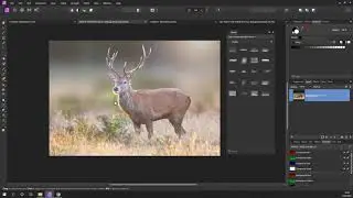 Affinity Photo  - Add Fog Mist or Smoke
