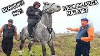 31.01.2026 ULUGʻBEK AKADAN UCH OT SOTILADI  !..