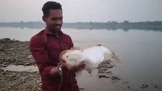 Fishing video / big Batra fish catching video and spoon fishing video 