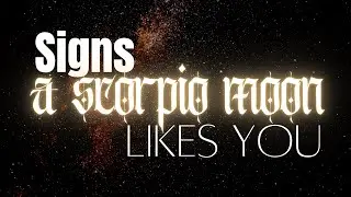 Signs a Scorpio Moon Likes You  ♏️🌚 #scorpiomoon #Scorpiomoonmagick