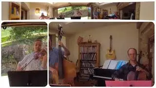 Salley Gardens - String Ensemble