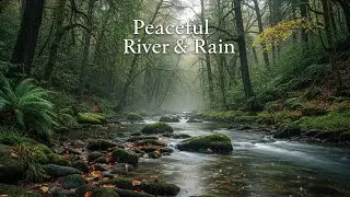 Soothing Night Rain Sounds with Natural River Sounds for Sleep, Study, and Meditation