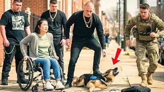 Gang Bullied a Disabled Girl in a Wheelchair and Kicked Her Dog &mdash; Until a Delta Force Stepped In