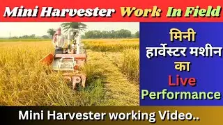 Mini Harvester Work | Mini Harvester Performance | Mini Harvester working video #miniharvester.
