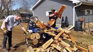 Brand New 22 ton Log Splitter with 6 way wedge!