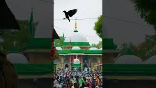 srkat shah aalm