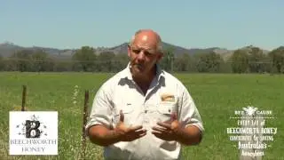 Beechworth Honey Bee Cause MEADOW Honey