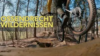 Een verborgen pareltje! // Ossendrecht Wildernissen // MTB Challenge