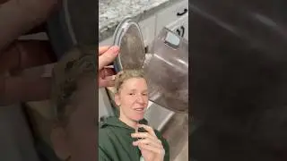 Groomer Rates The VIRAL Dog Grooming Vacuum 😮 #dog #amazonfinds #pets #vacuum #doggroomingvacuum