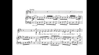 Mahler: Lieder und Gesänge: 6. Um schlimme Kinder artig zu machen - Henschel (Macelaru, live)