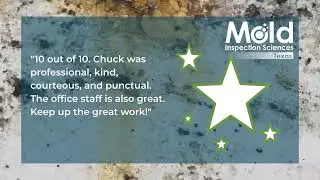 What Makes a 10/10 Mold Inspection? Real Client Experience