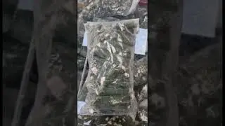 Fresh Ekwang (Frozen) to Your UK Doorstep