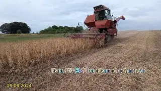29.09.2024 Нива СК-5м1 на збиранні сої аполло🌱