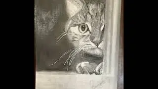 HIDING CAT #cat #drawing #timelapse