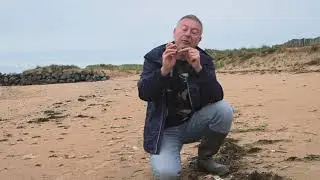 EN CHEMIN - LES LAISSES DE MER