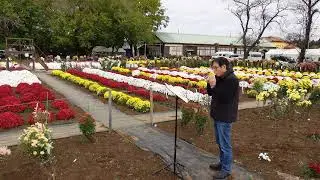 くちなしの花／高校三年生／古城（関稔オカリナ演奏）2025うしく菊まつり4