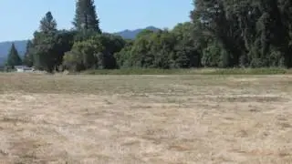 Land for Sale in Willits - Baechtel Road, Willits, CA