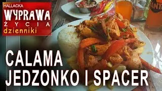 Calama - pustynia Atacama - pierwsze jedzonko i spacer po ulicach :) - dzienniki